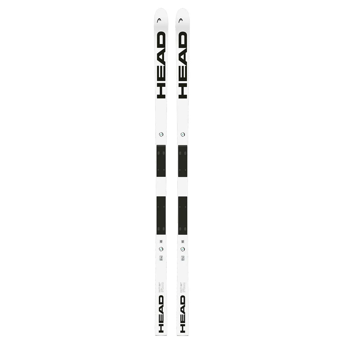 2025 HEAD WCR E-DH Rebel FIS Skis