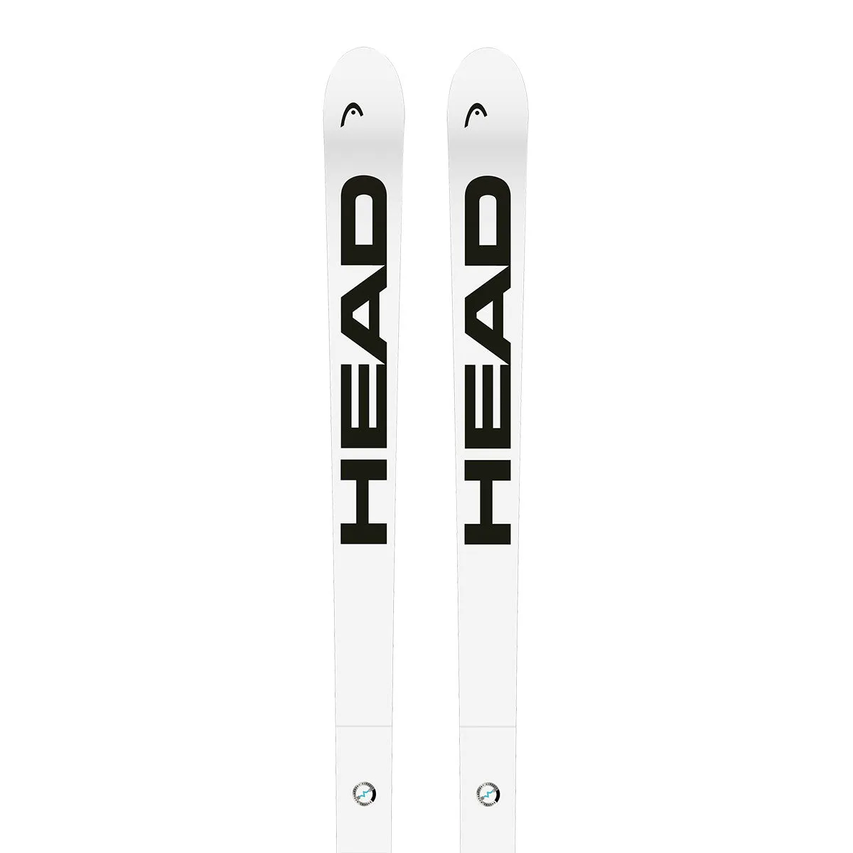 2025 HEAD WCR E-DH Rebel FIS Skis