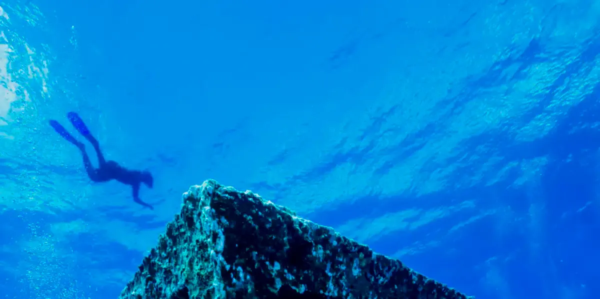 A Freediver Descends To The USS Kittiwake Wall Art