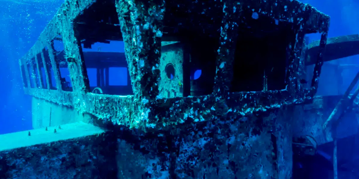 A Freediver Descends To The USS Kittiwake Wall Art