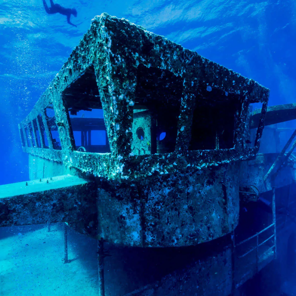 A Freediver Descends To The USS Kittiwake Wall Art