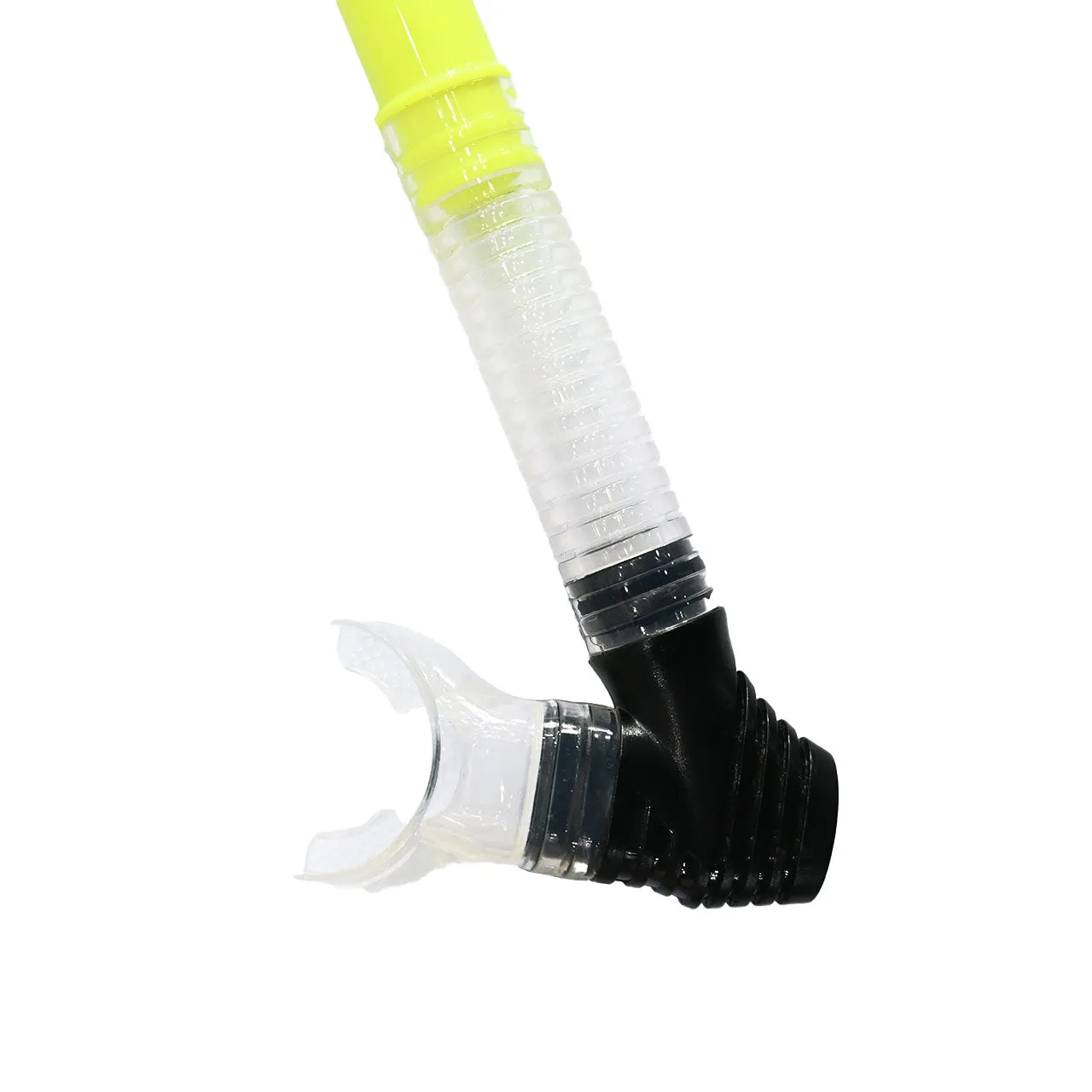 Abaco Snorkel