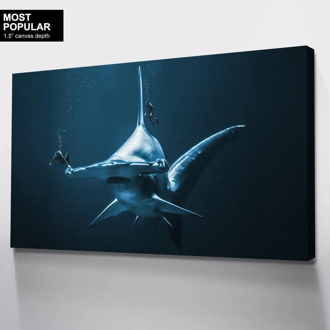 Diving With Mega Hammerhead