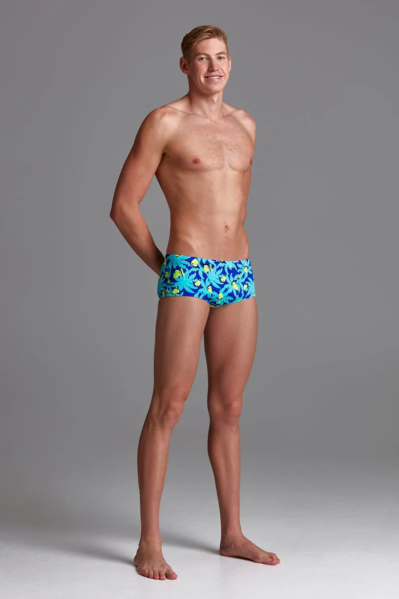 Funky Trunks - Bird Brain - Mens Eco Classic Trunks
