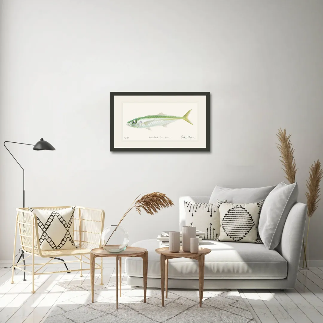 Jack Mackerel Print