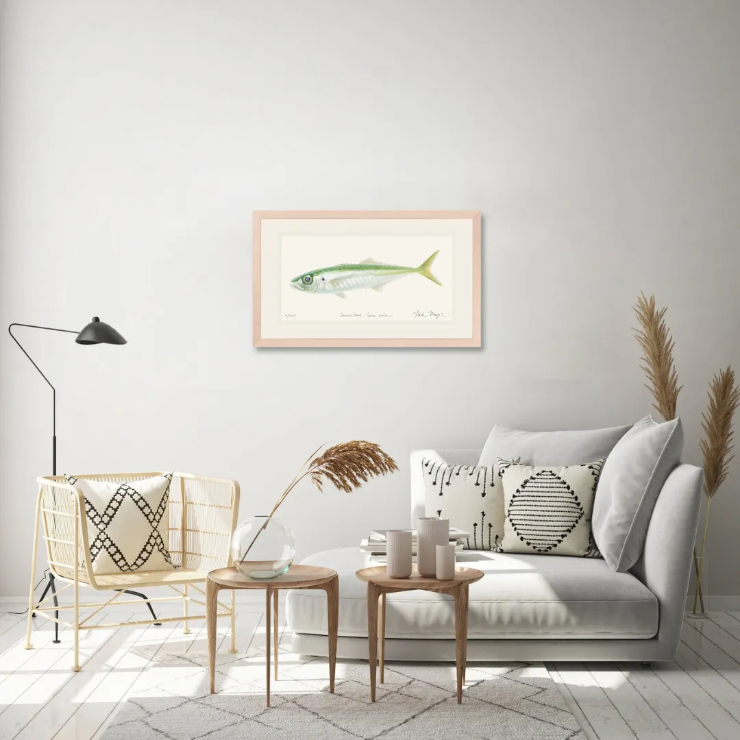 Jack Mackerel Print