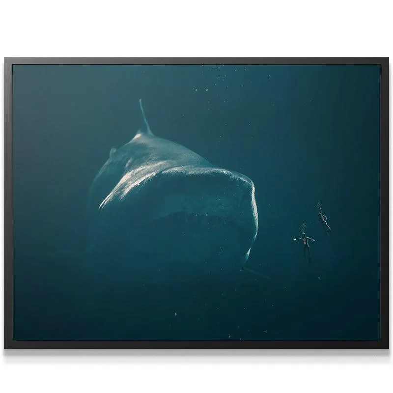 Meg