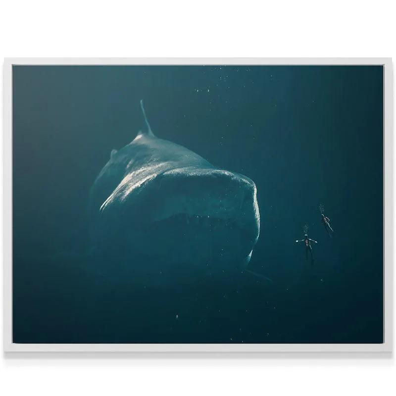 Meg