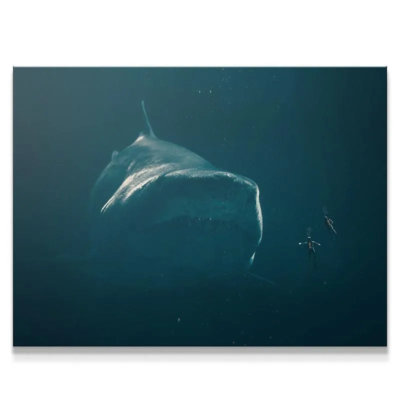 Meg