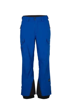 Oneill Mens Cargo Pant Surf the Web Blue