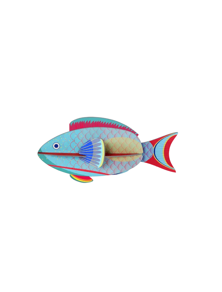 Parrotfish - Studio Roof